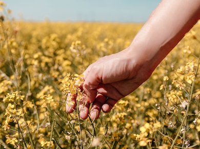 compléments alimentaires bio